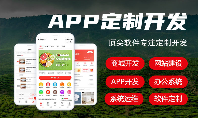 如何一家专业的淘宝客App开发公司