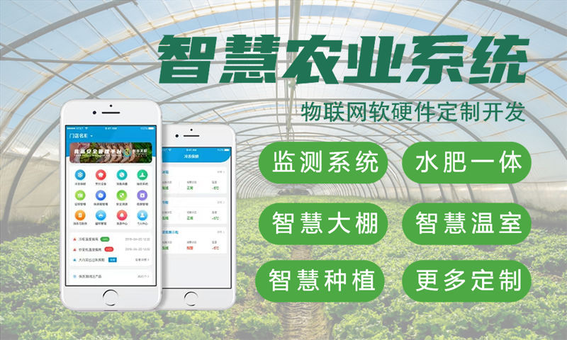 南京单片机解决方案与功能计划书