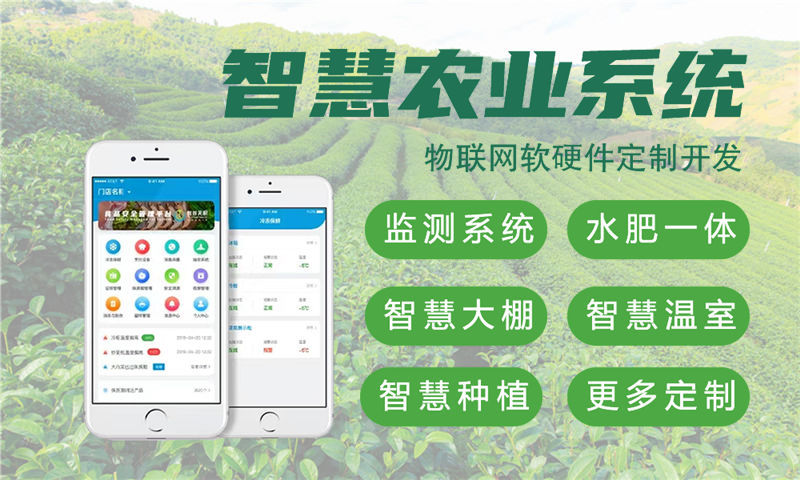 南京单片机解决方案设计与功能计划书——助力物联网创新