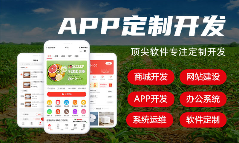 南京政务系统解决方案及功能计划书