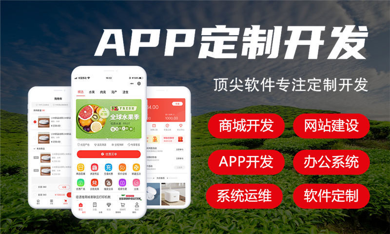 南京财务管理系统解决方案与功能计划书