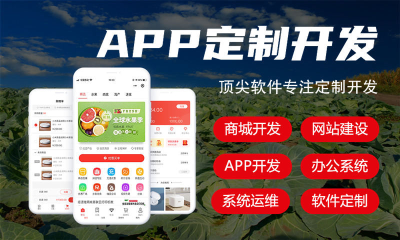 南京政务系统解决方案与功能规划书