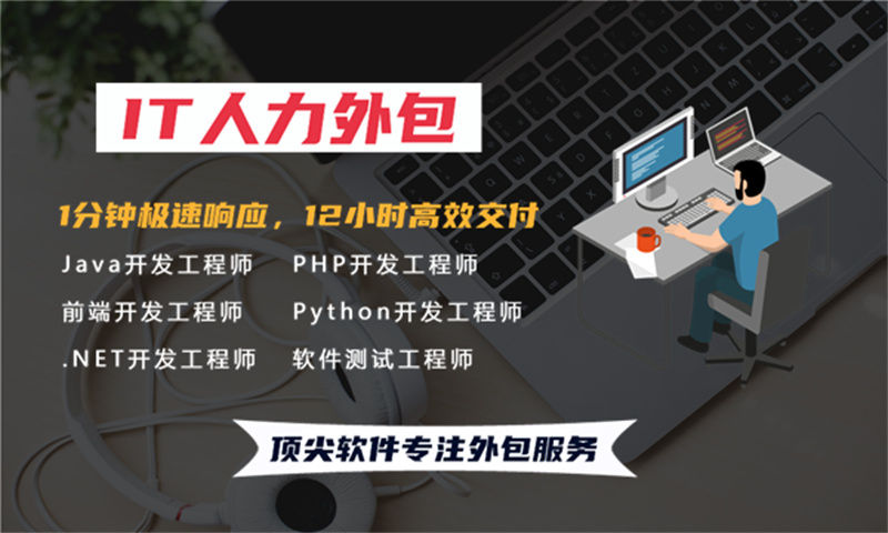 宁波企业提供高效解决方案——选择专业的IT人力资源外包服务