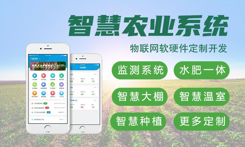 南京单片机开发解决方案：基于STM32、ESP32、4G/Cat1模组与LuatOS的多功能物联网系统功能计划书