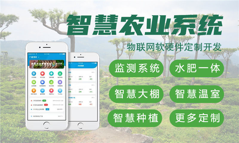 南京单片机开发解决方案：基于STM32、ESP32、4G/Cat1模组与LuatOS的多功能物联网系统功能计划书